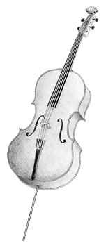 Cello